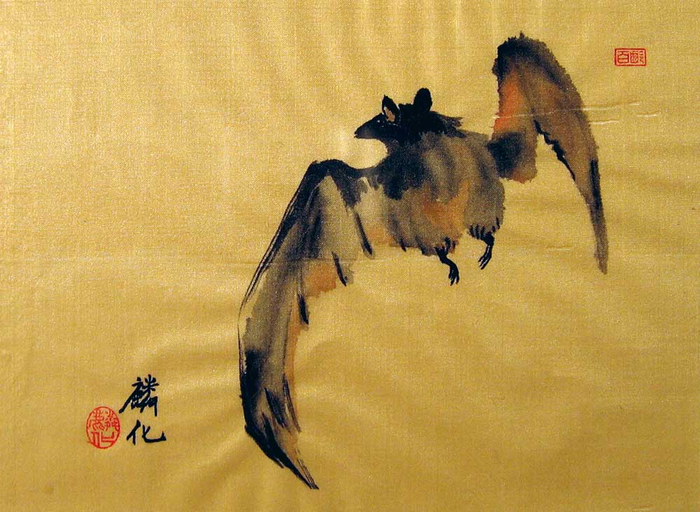 Chinese Bat