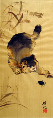 Cat & Insect