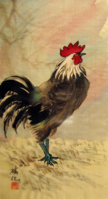 Rooster