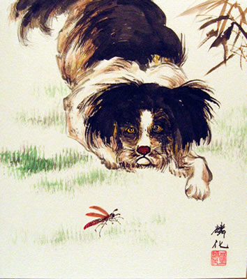 Dog & A Dragonfly