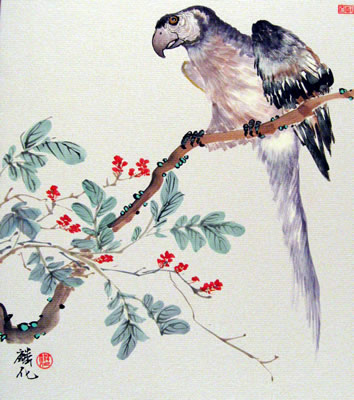 Parrot