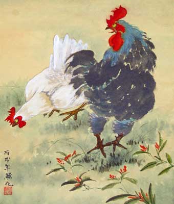 Rooster