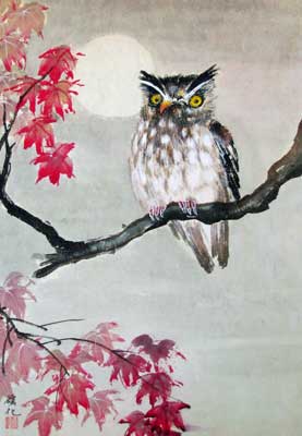 Owl