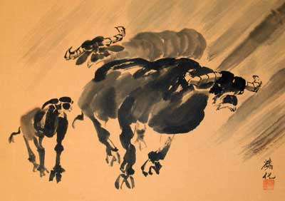 Buffalo
