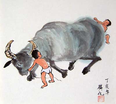 Children with buffalo