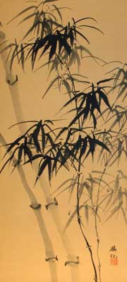 Bamboo