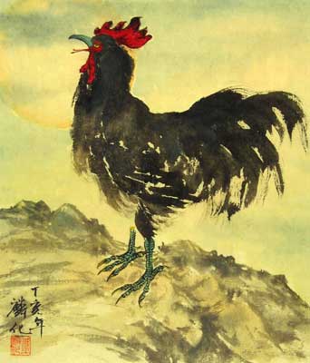 Rooster