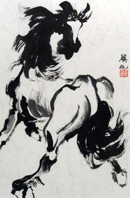 Black & White Horse