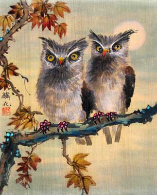 Owls