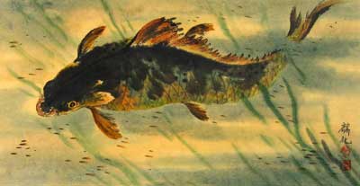 Fish