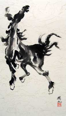 Black & White Horse